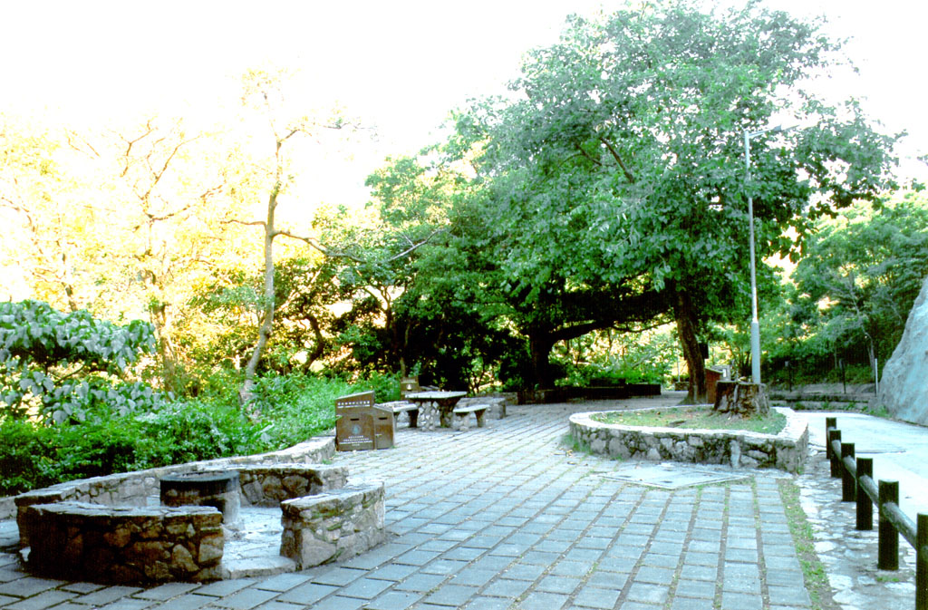 城門郊野公園