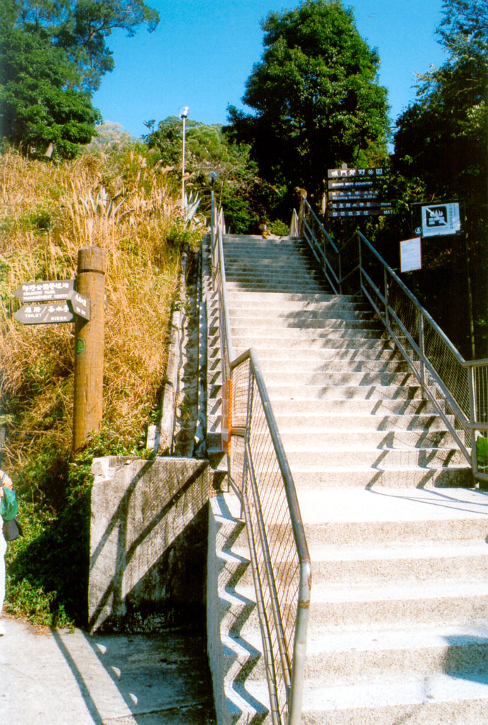 Photo 2: Shing Mun Country Park