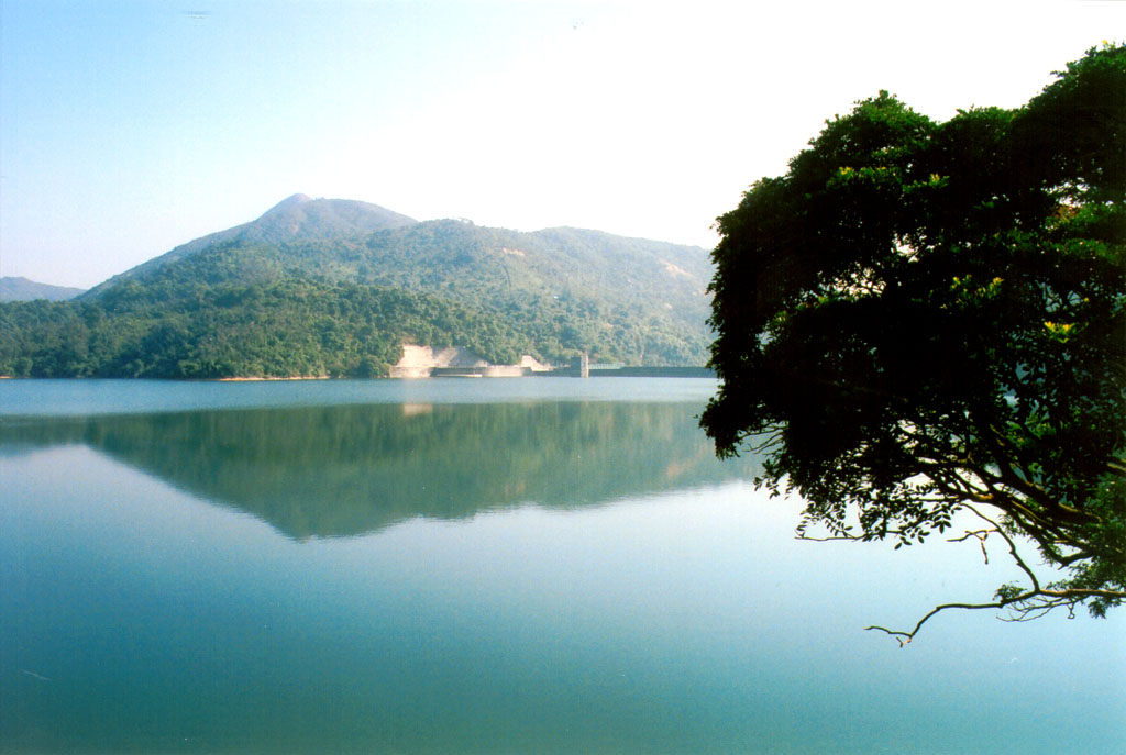 Photo 7: Shing Mun Country Park