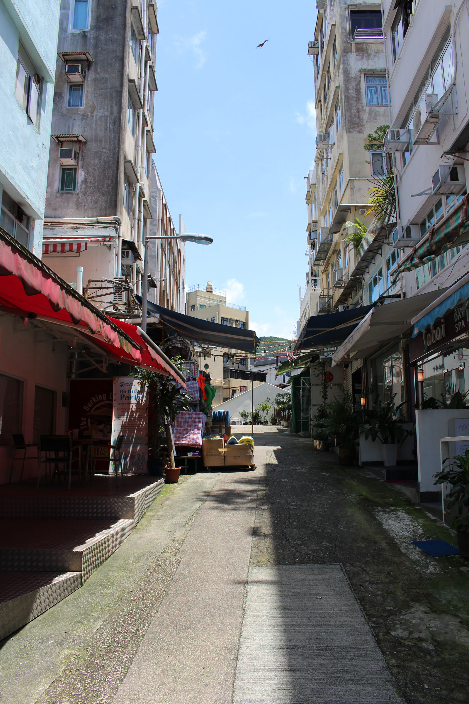 Photo 8: Stanley Main Street (Stanley Market)