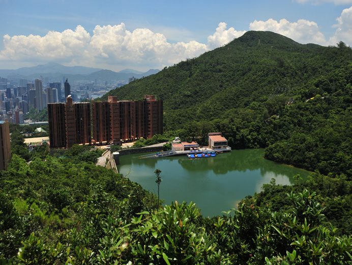 Photo 2: Wong Nai Chung Reservoir Park