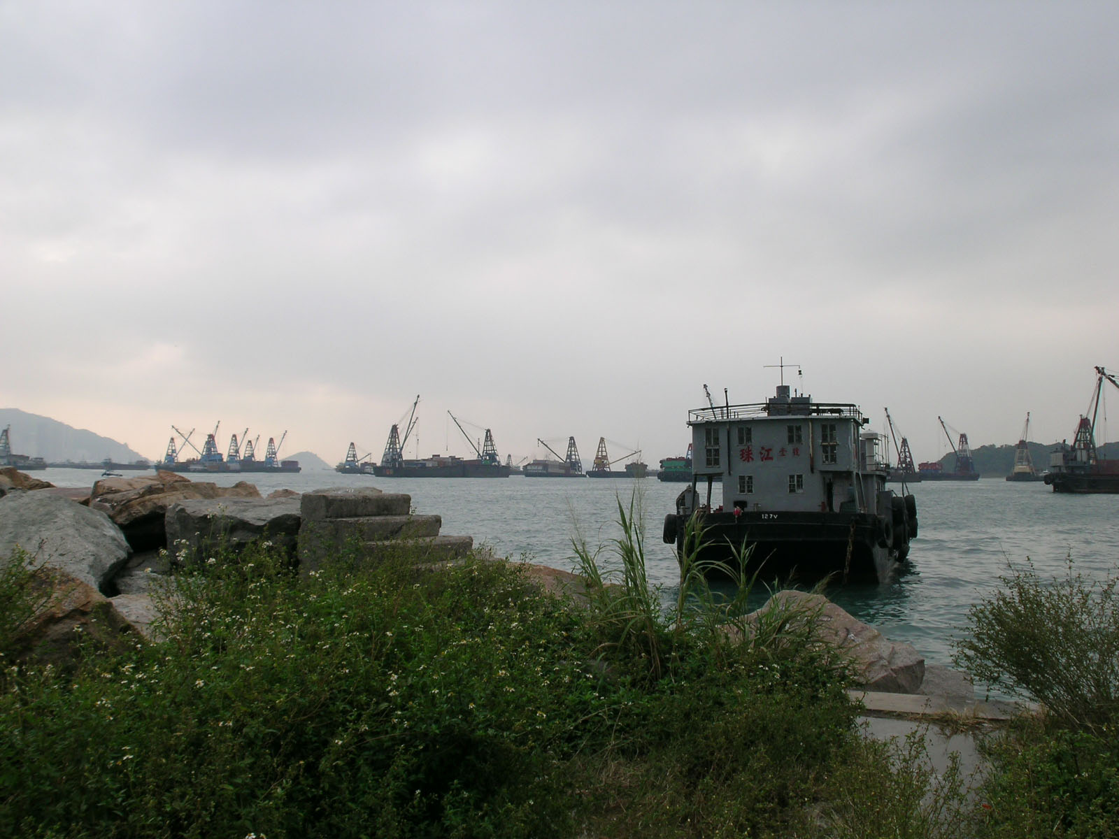 Photo 5: New Yau Ma Tei Typhoon Shelter