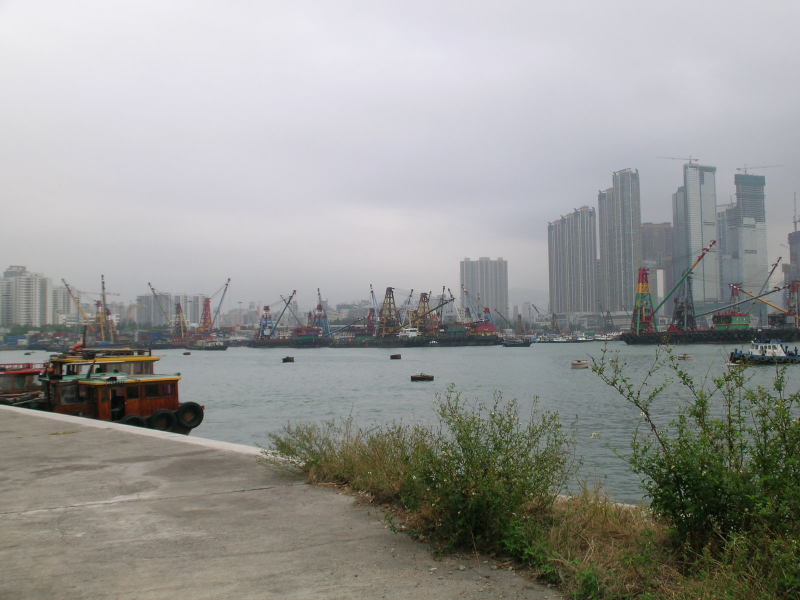 Photo 6: New Yau Ma Tei Typhoon Shelter