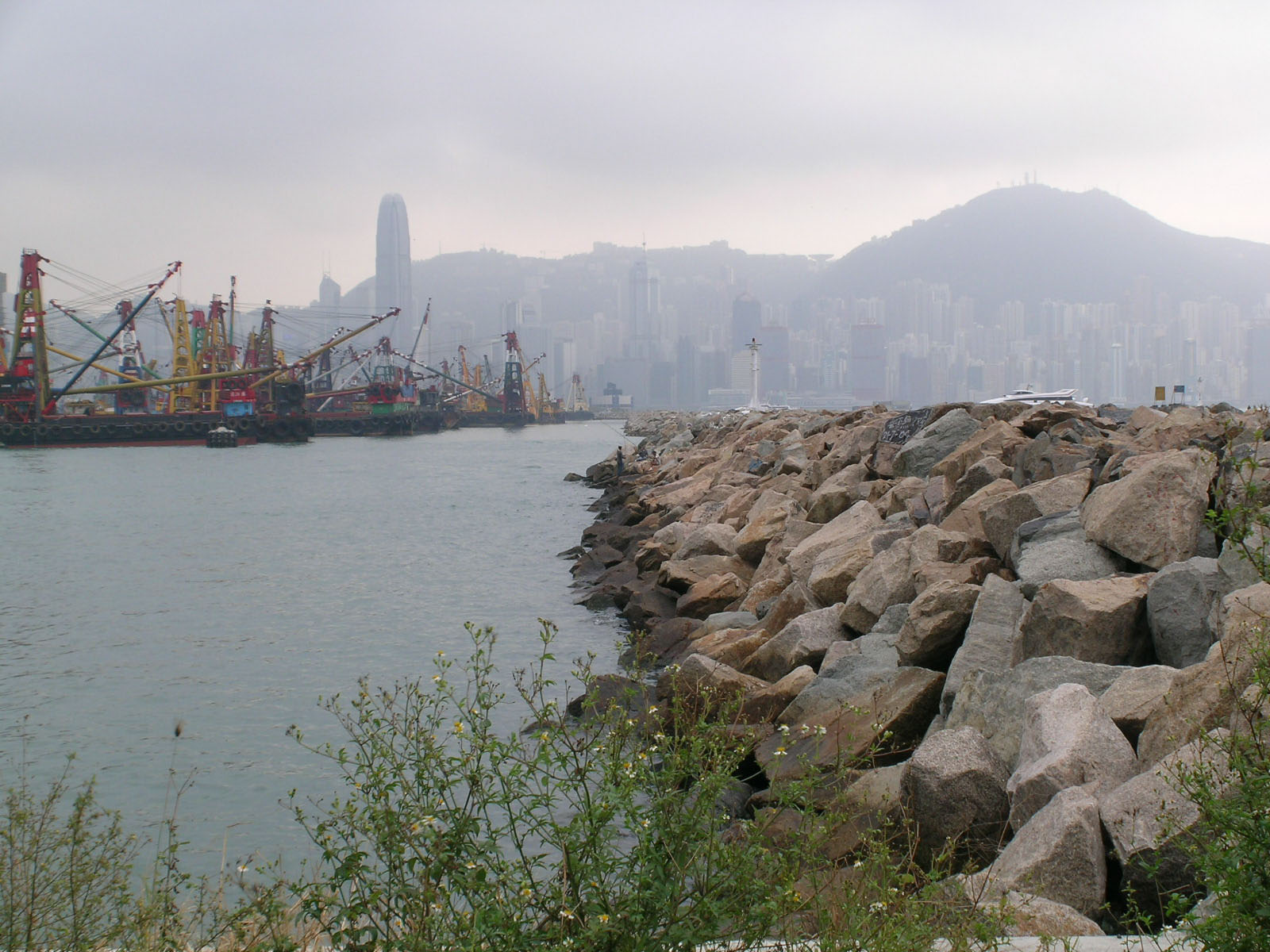 Photo 8: New Yau Ma Tei Typhoon Shelter