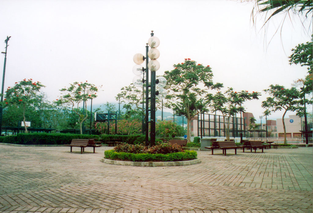 Photo 5: Wai Man Road Playground