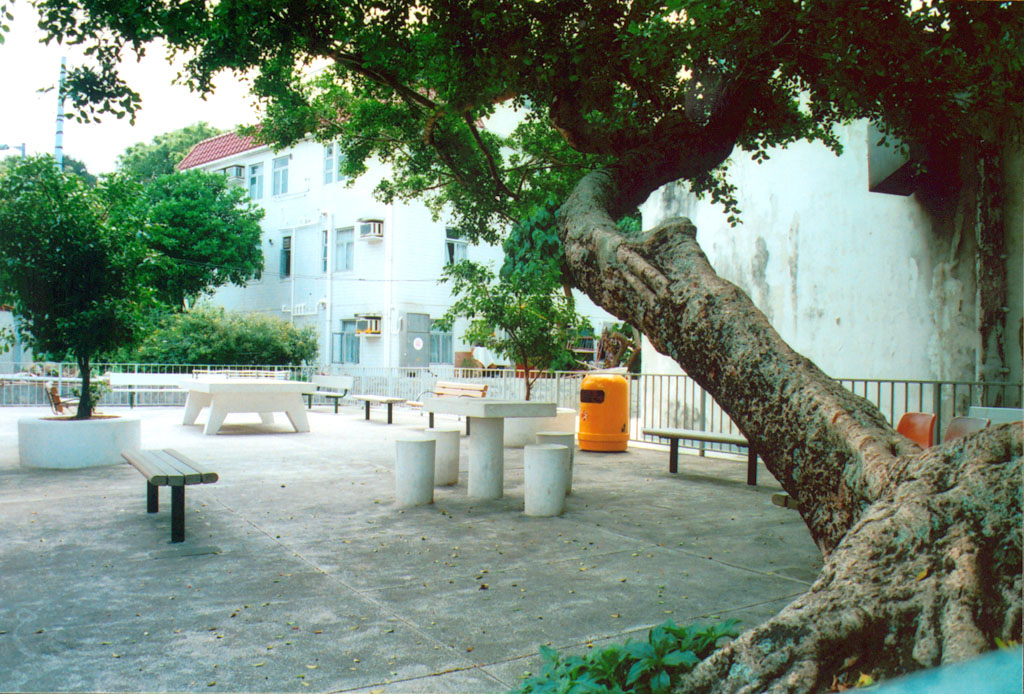 Photo 4: Yung Shue Wan Main Street