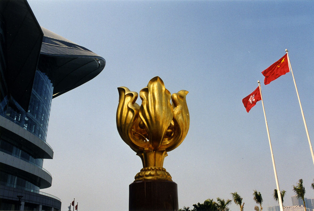 Photo 3: Golden Bauhinia Square