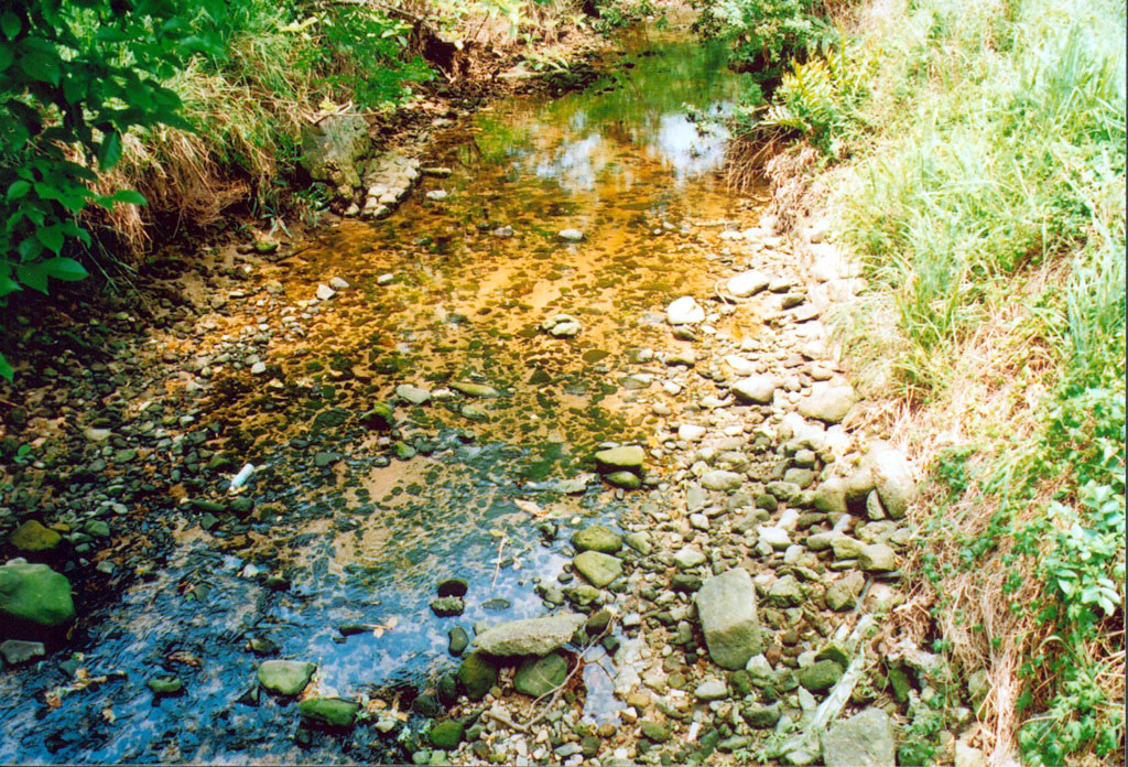 Photo 3: Silver Mine Bay Waterfall Park