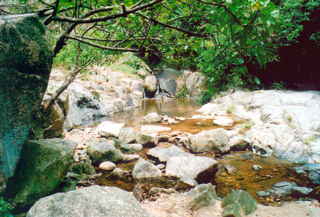 Photo 4: Silver Mine Bay Waterfall Park