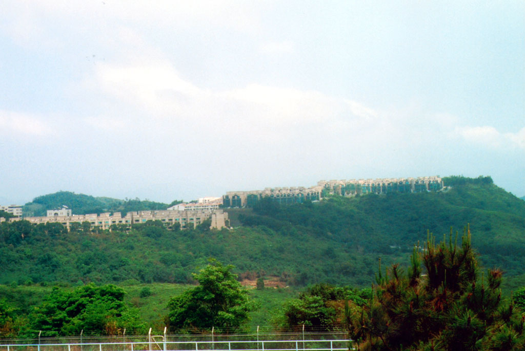 Photo 5: Villas at Lo Ping Road, Tai Po