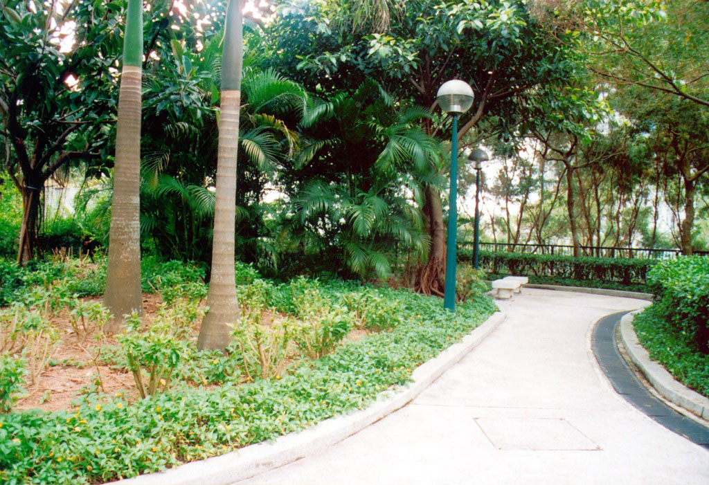 Photo 3: Shau Kei Wan Service Reservoir Playground