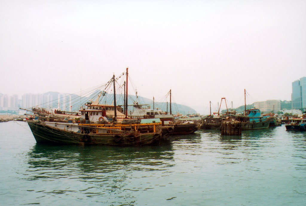 Photo 4: Shau Kei Wan Typhoon Shelter