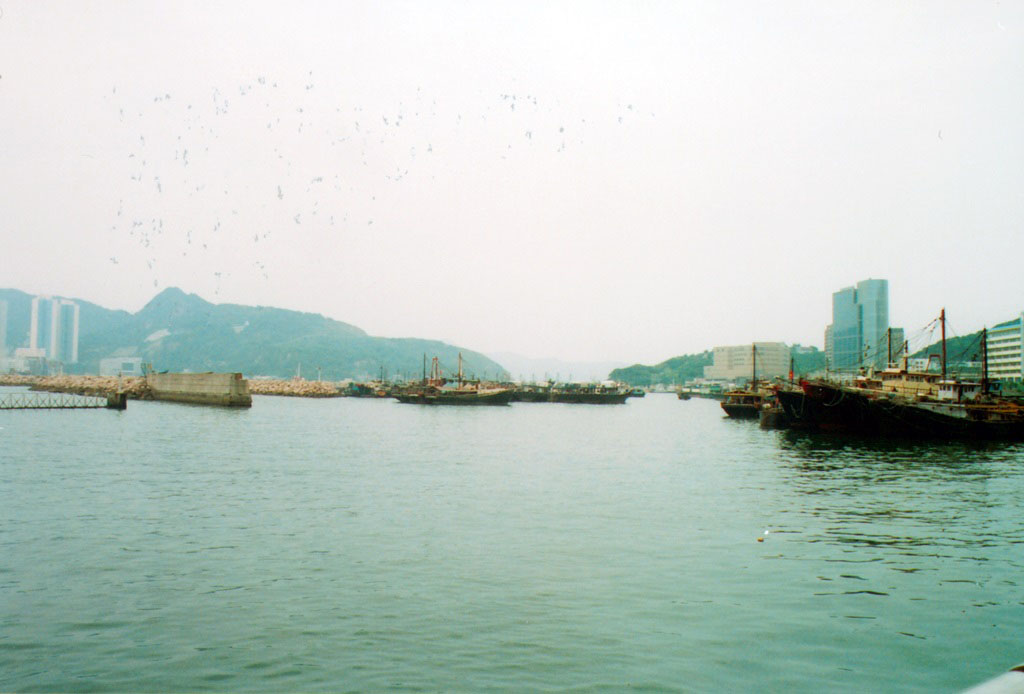 Photo 5: Shau Kei Wan Typhoon Shelter