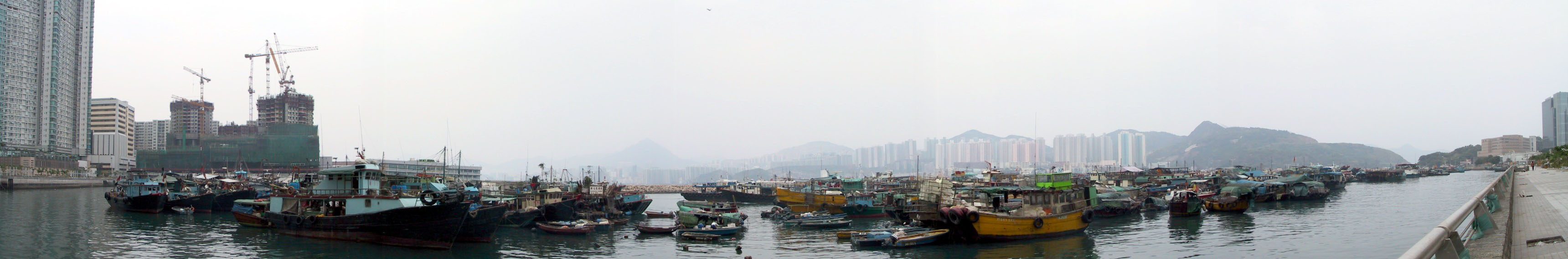 Photo 7: Shau Kei Wan Typhoon Shelter