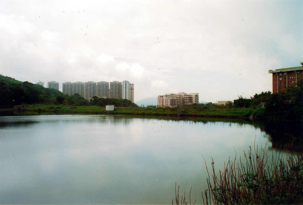 Pok Fu Lam Reservoir