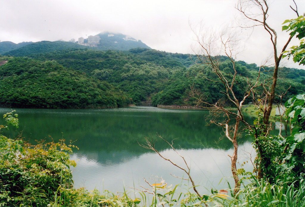 Photo 3: Pok Fu Lam Reservoir