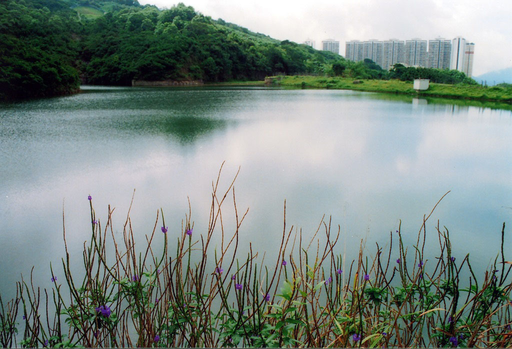 Photo 4: Pok Fu Lam Reservoir