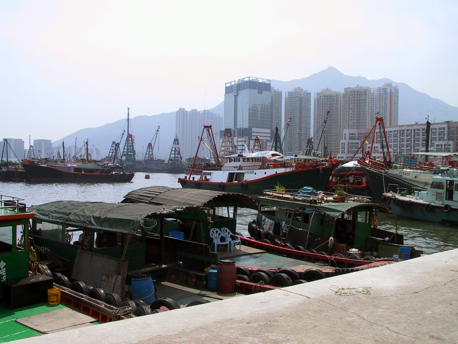 Photo 2: Tuen Mun Typhoon Shelter