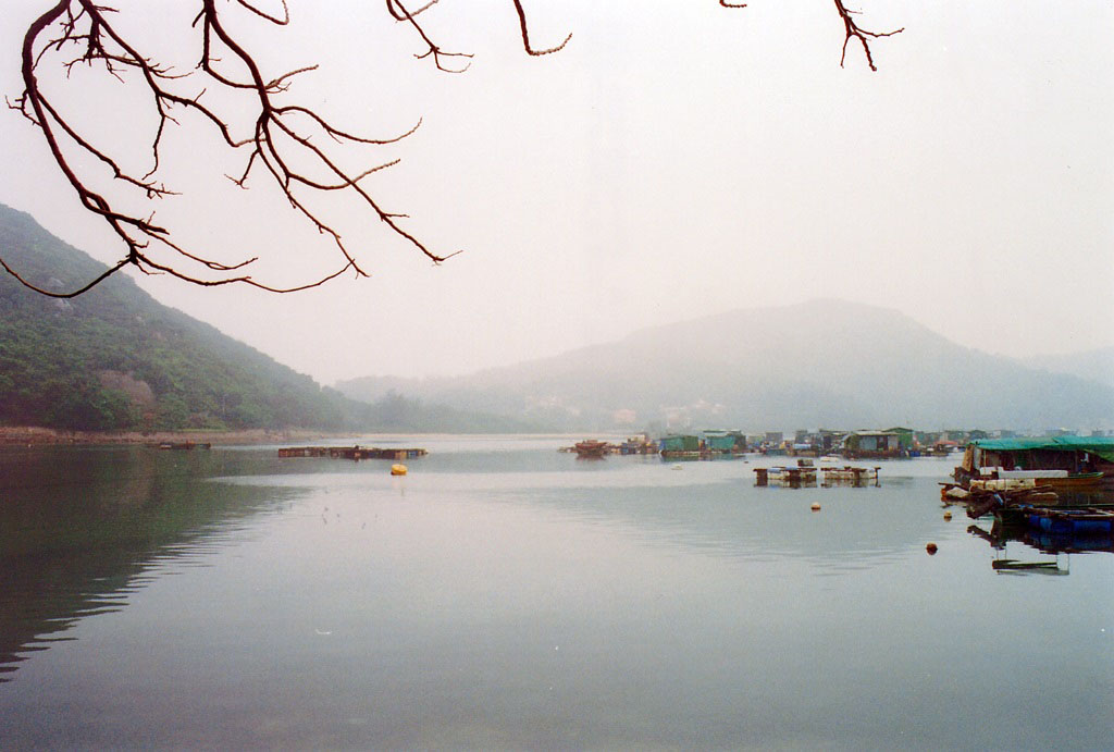 Photo 6: Sok Kwu Wan Pier No. 2