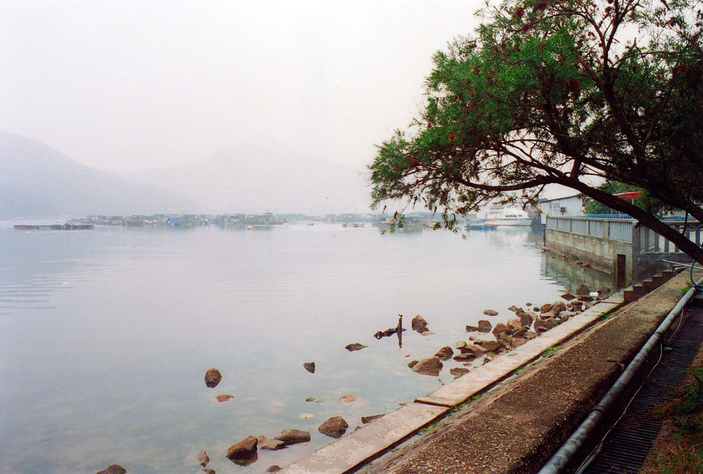 Photo 8: Sok Kwu Wan Pier No. 2