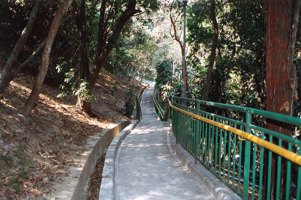 Photo 5: Choi Sai Woo Park