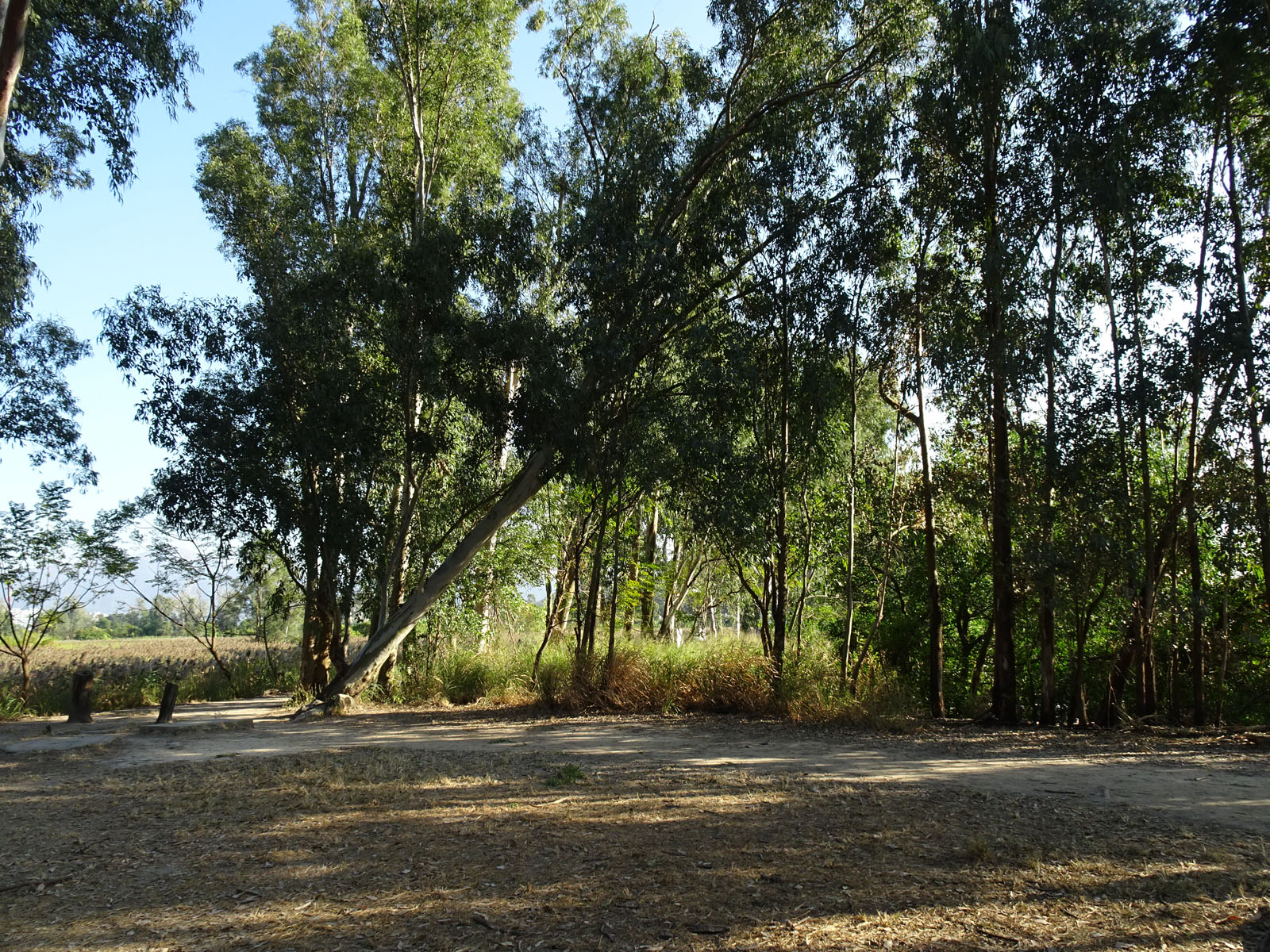 Government Land in Nam Sang Wai