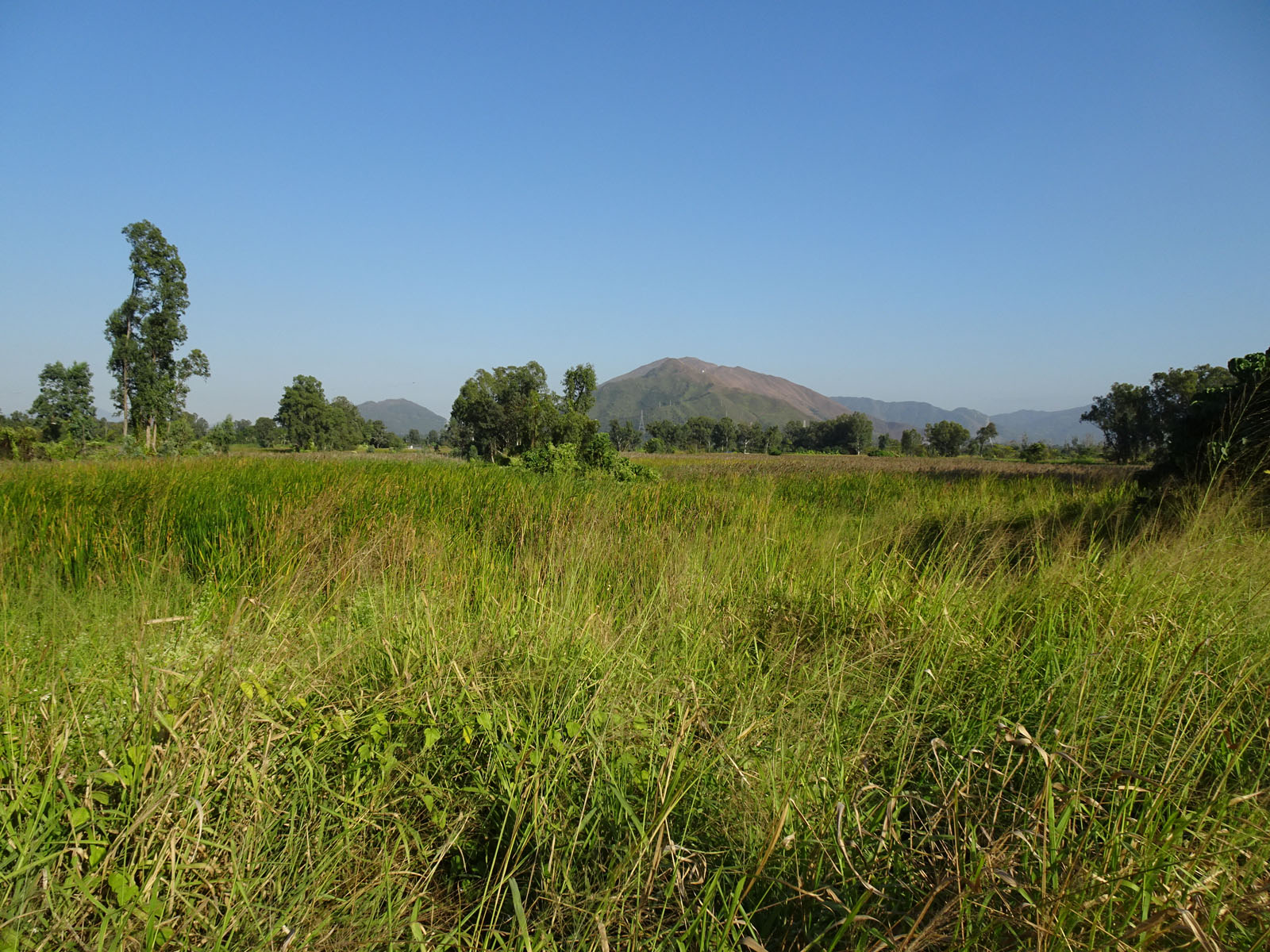 Photo 3: Government Land in Nam Sang Wai