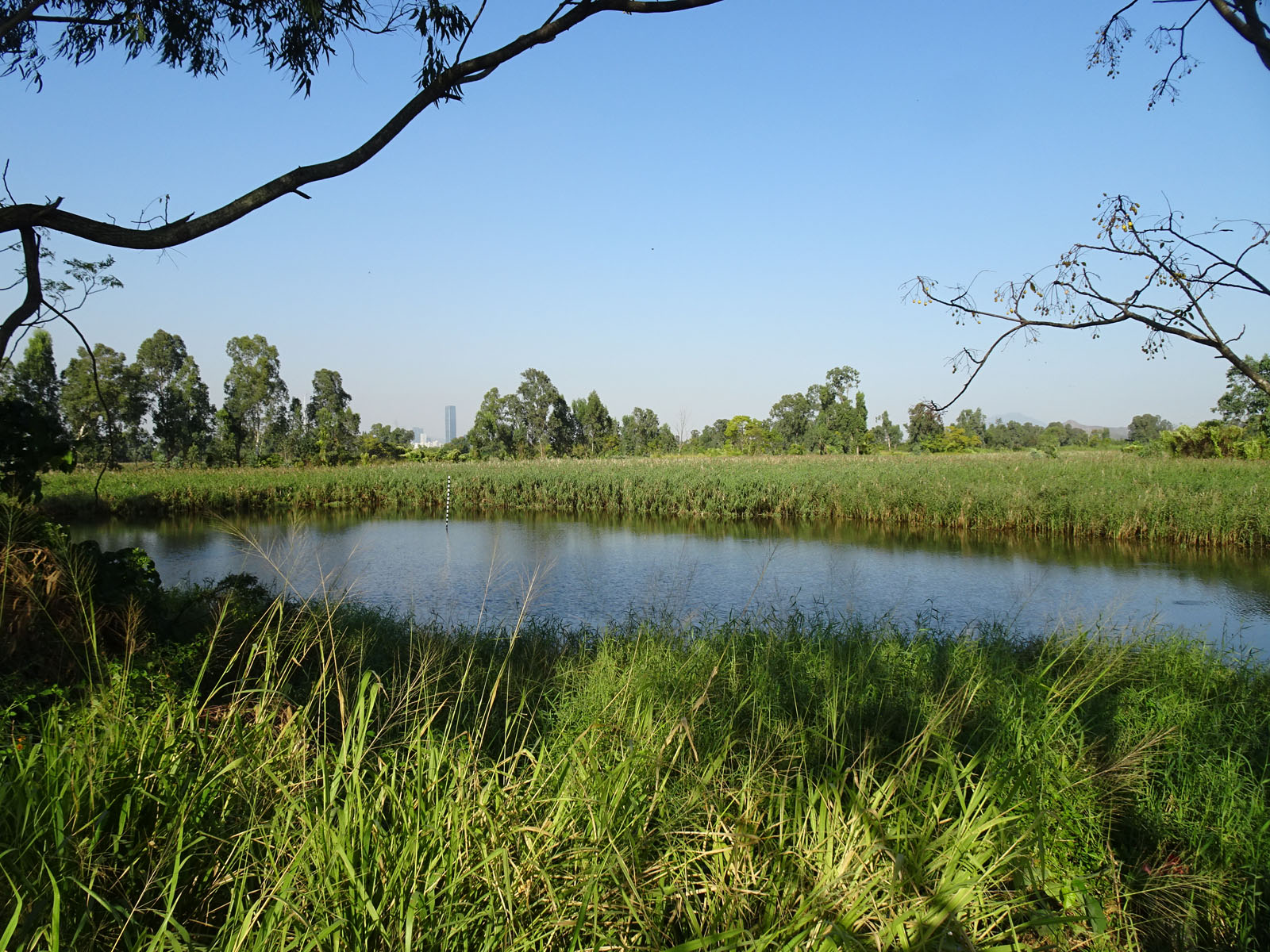 Photo 5: Government Land in Nam Sang Wai