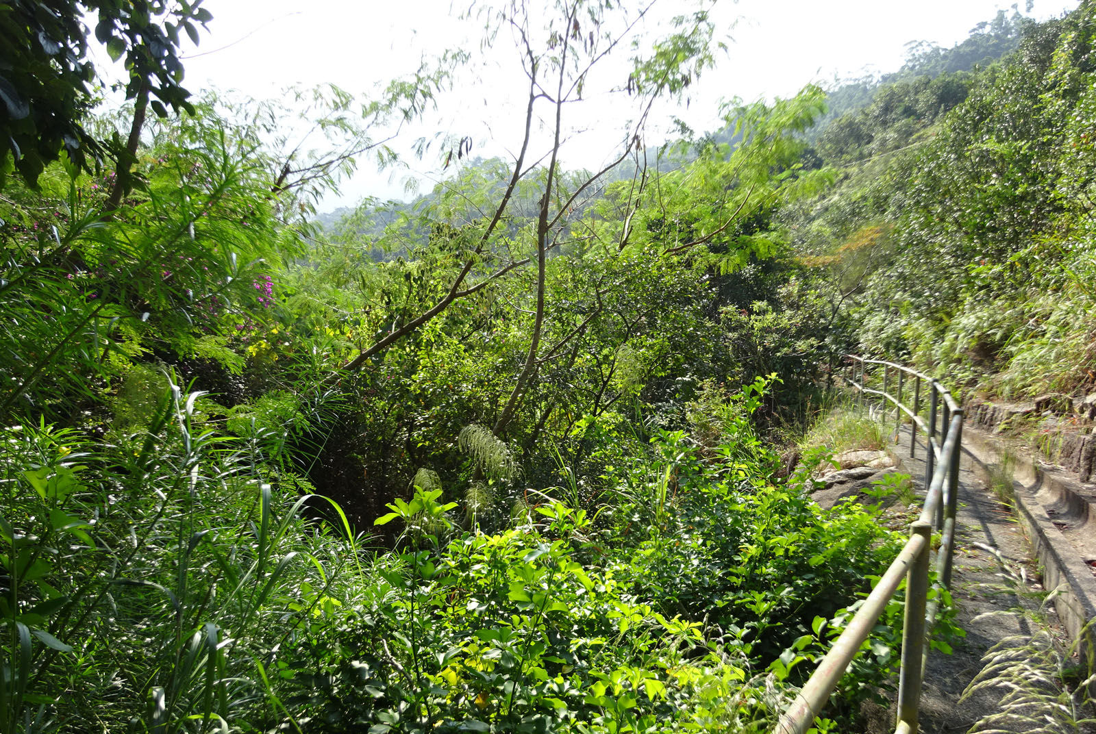 Government Land at Mount Parker Road