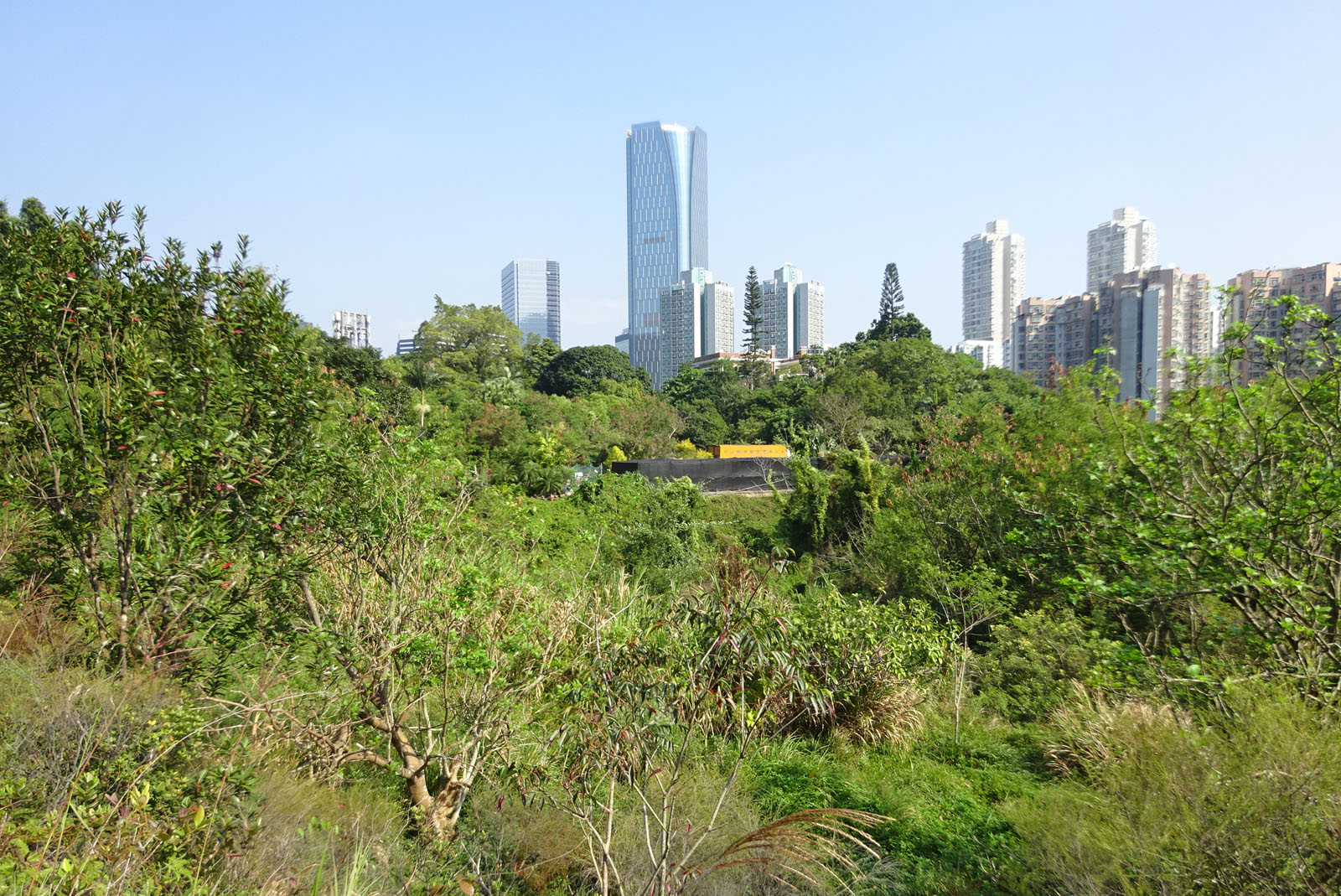 Photo 3: Government Land at Mount Parker Road