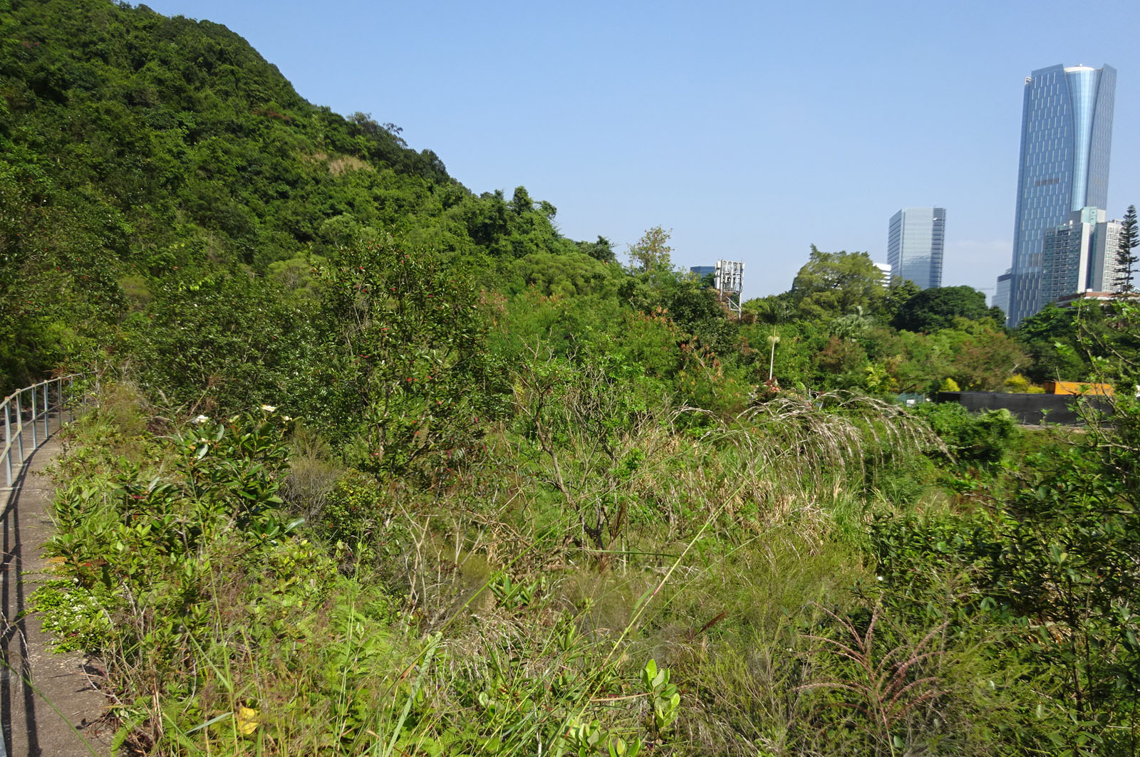 Photo 4: Government Land at Mount Parker Road