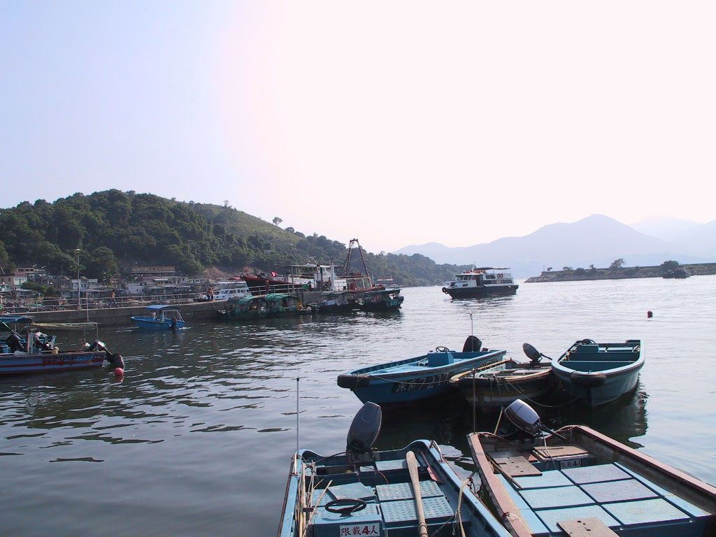 Photo 5: Jetties in Yim Tin Tsai