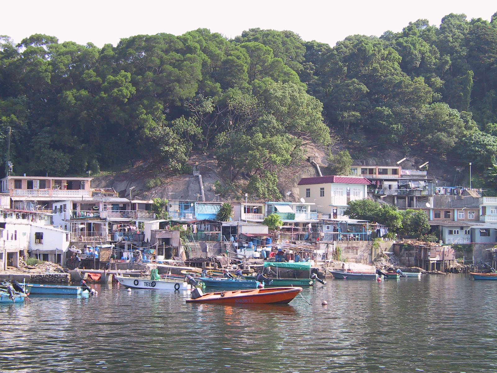 Photo 6: Jetties in Yim Tin Tsai