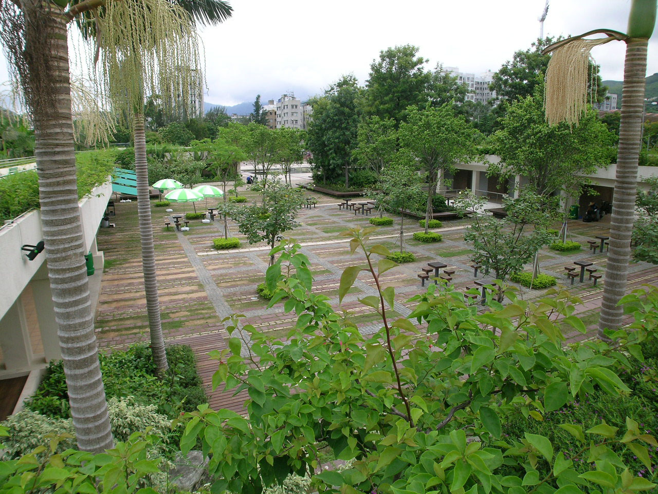 Photo 2: Sai Kung Waterfront Park