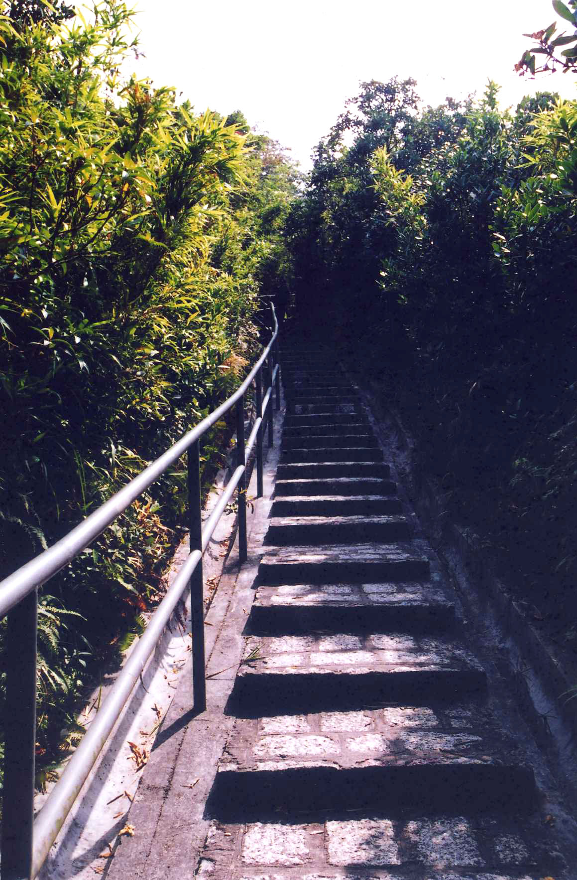 相片 2: 龍虎山郊野公園