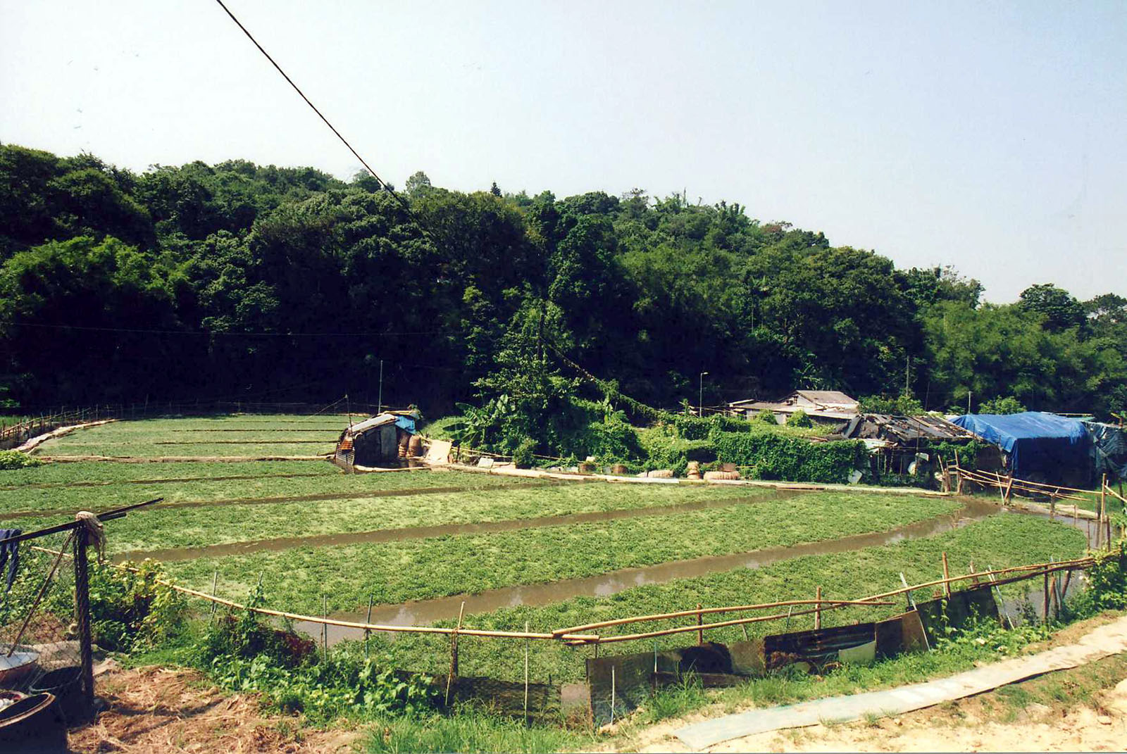 Photo 10: Shung Him Tong Village