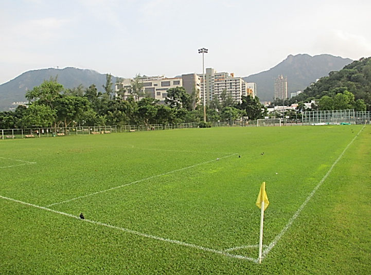 Photo 5: Kowloon Tsai Park