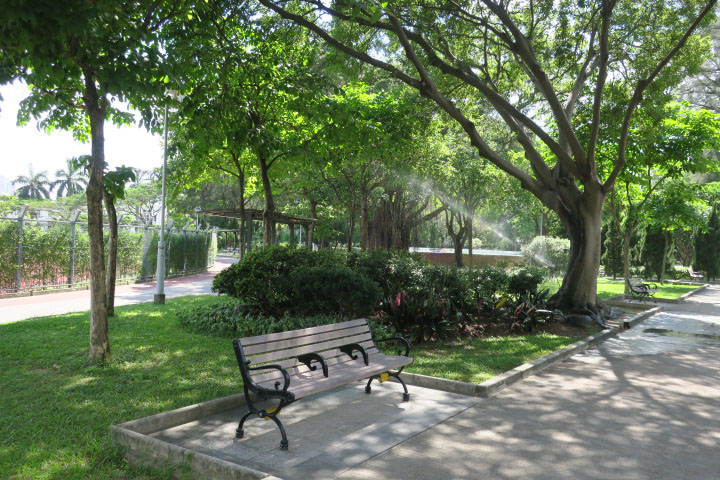 Photo 6: Kowloon Tsai Park