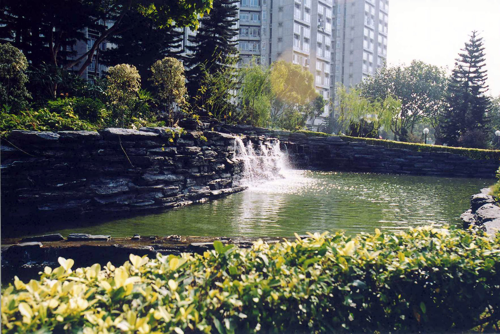 Photo 7: Laguna Park