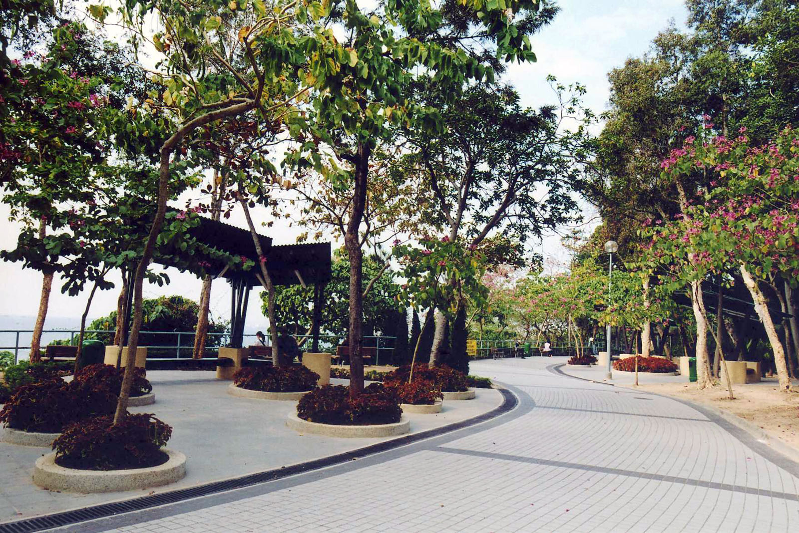 Photo 5: Waterfall Bay Park