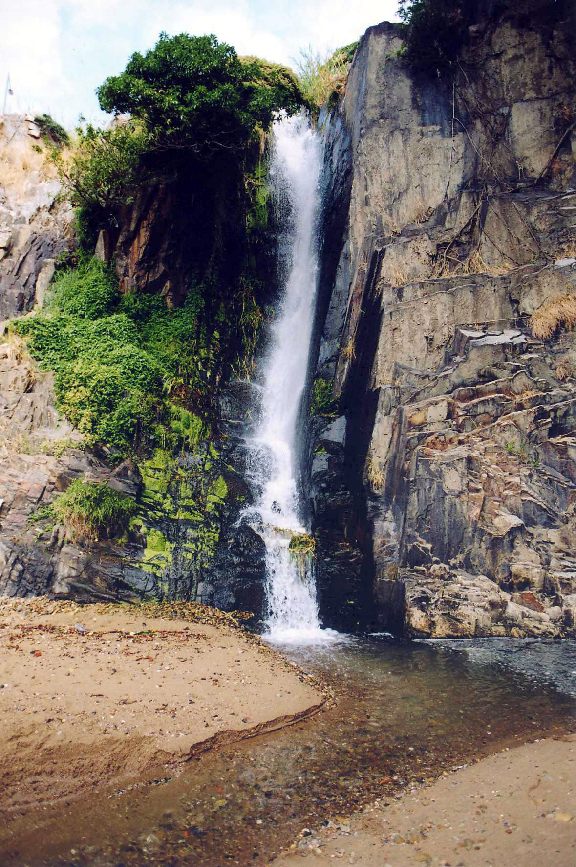 Photo 8: Waterfall Bay Park