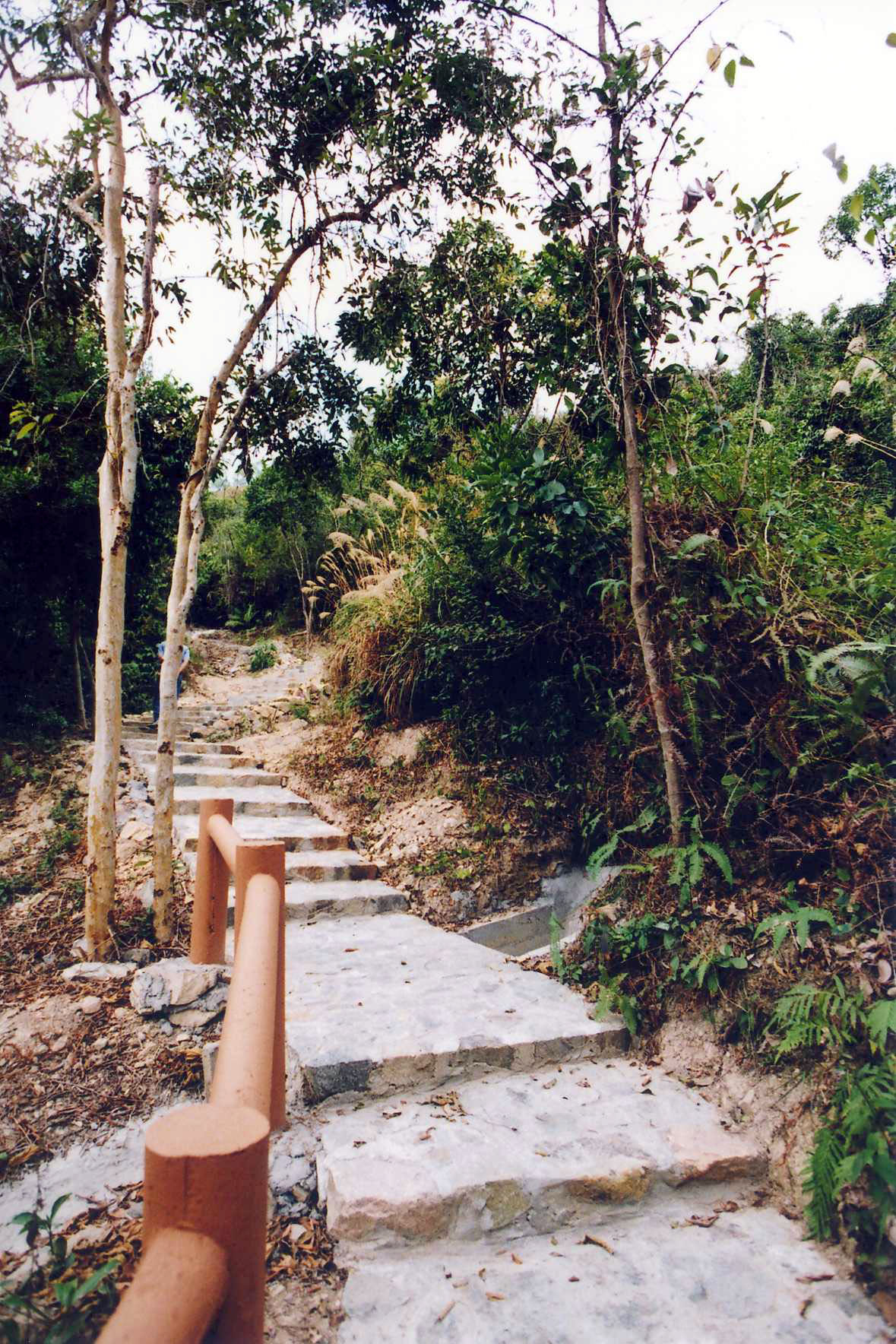 Photo 3: Plover Cove Country Park