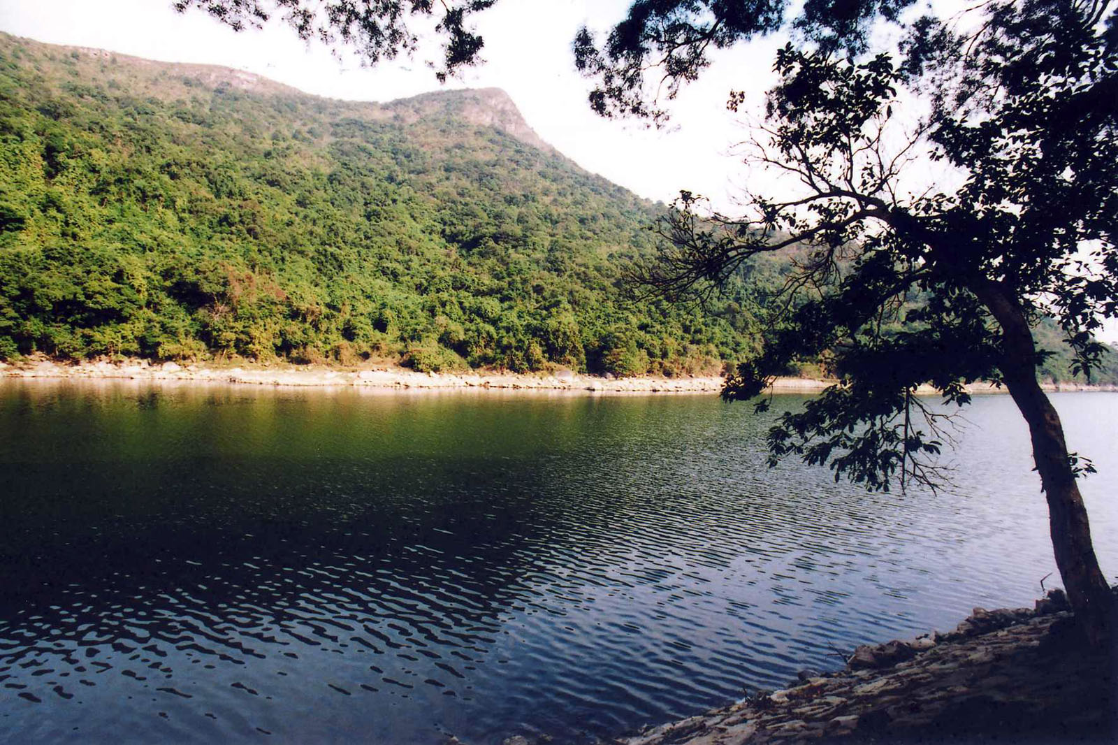 Photo 6: Plover Cove Country Park