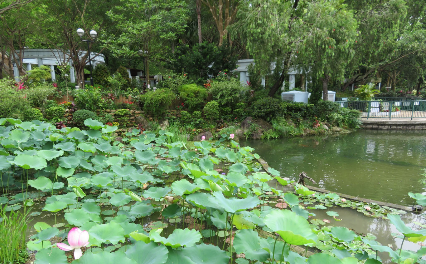 Photo 3: Shing Mun Valley Park