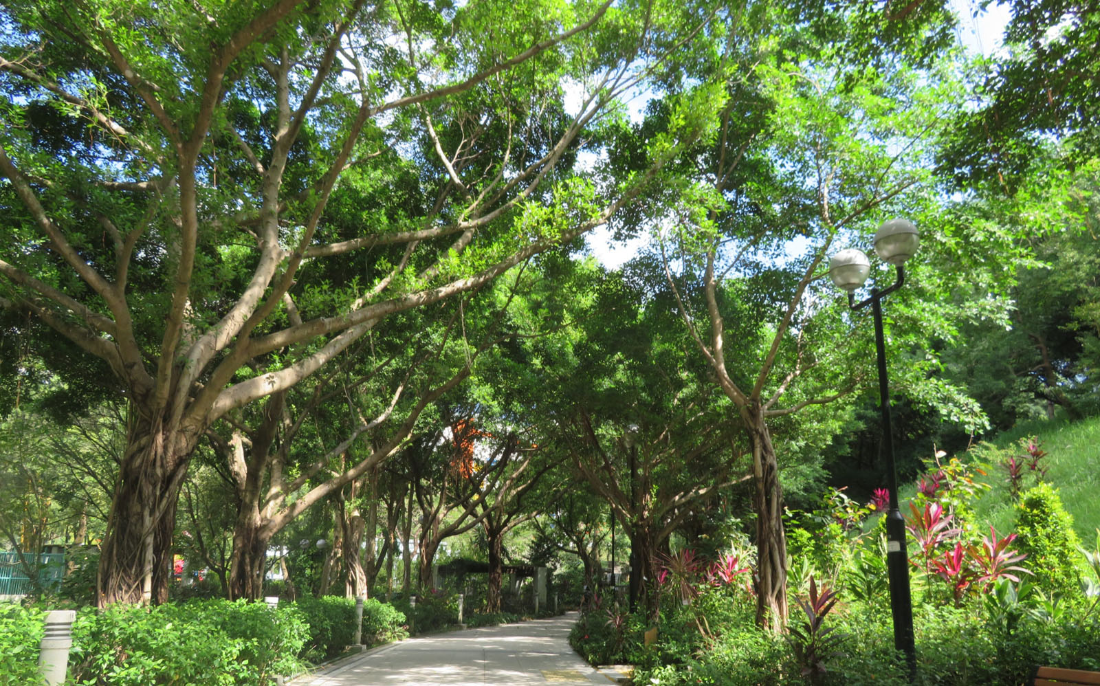 Photo 4: Shing Mun Valley Park