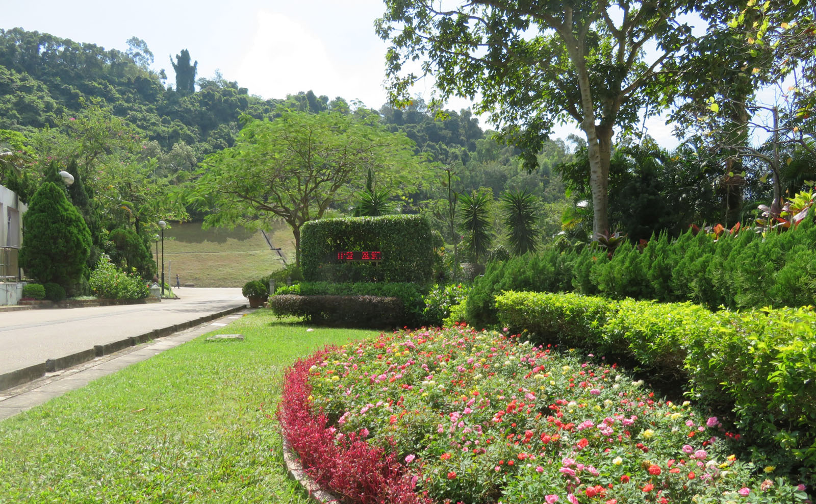 Photo 5: Shing Mun Valley Park