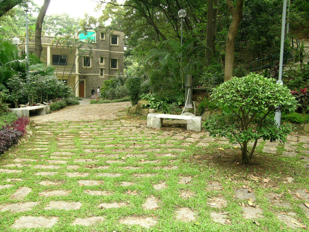 Photo 10: Central Kwai Chung Park