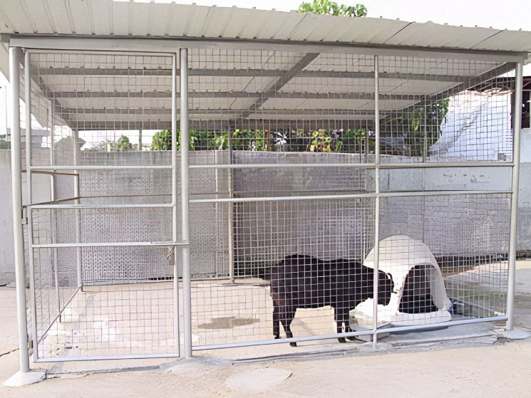 Photo 6: Society for Abandoned Animals - Animal Sanctuary