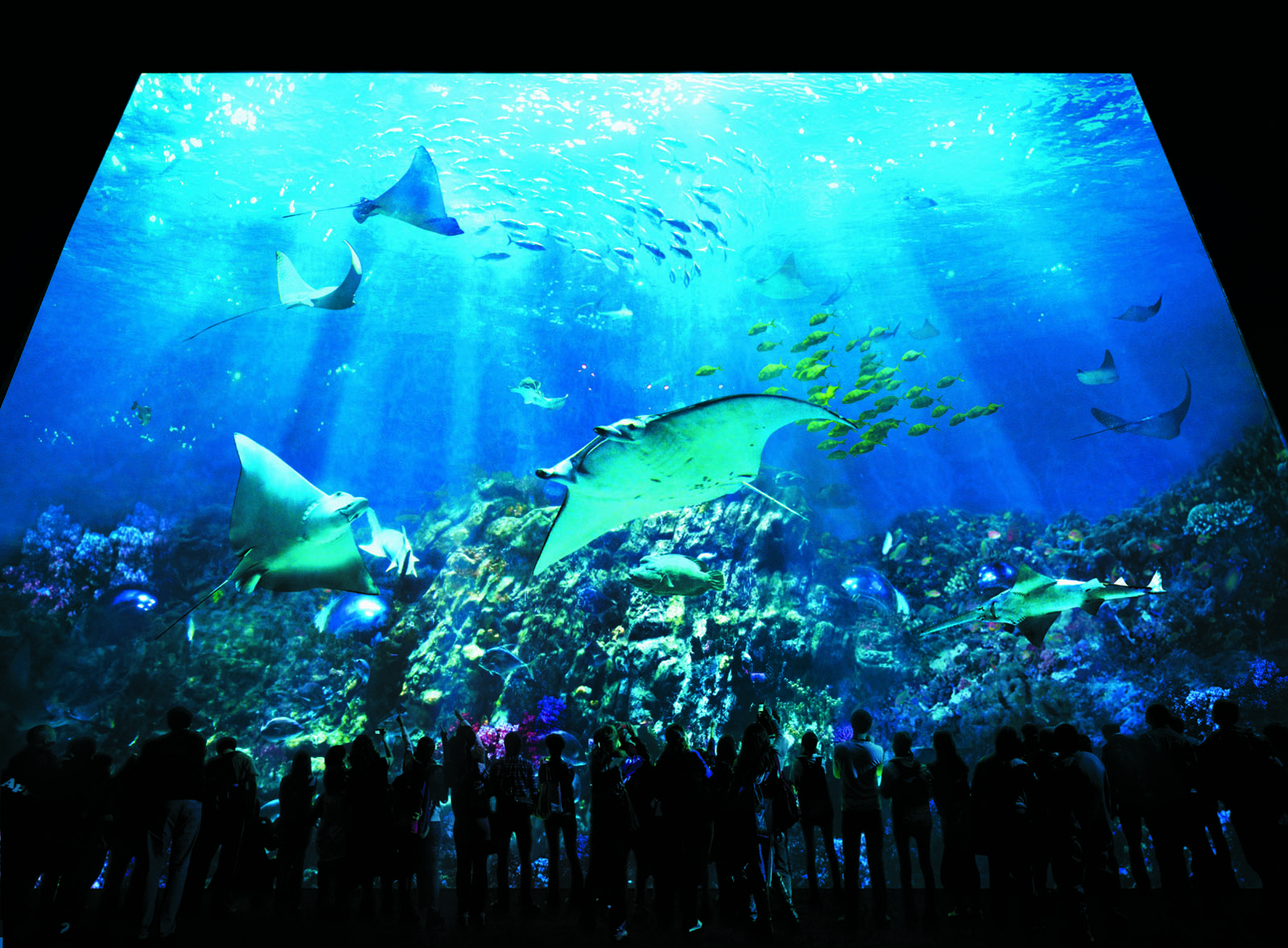 Photo 5: Ocean Park