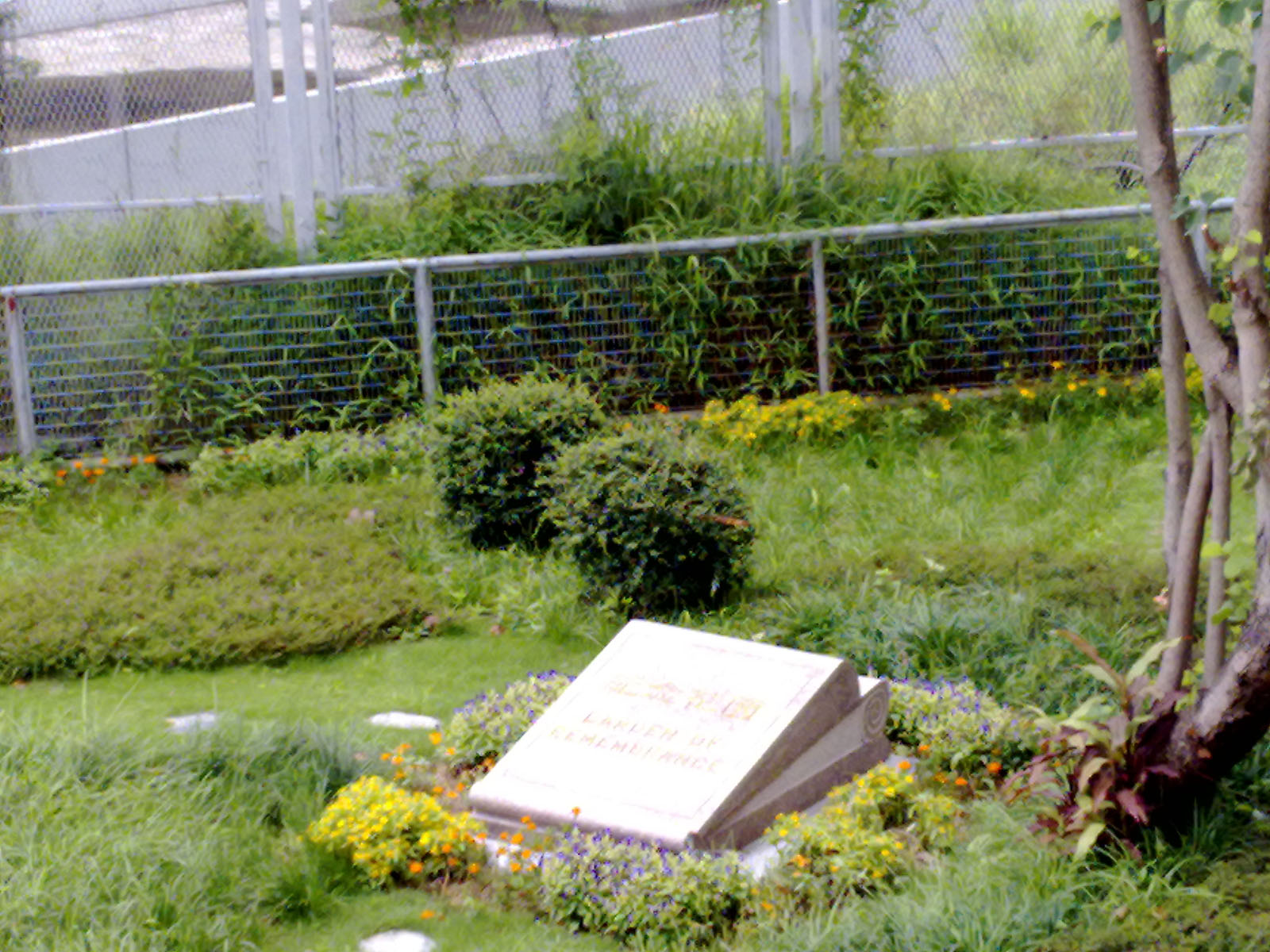 Photo 9: Kwai Chung Crematorium